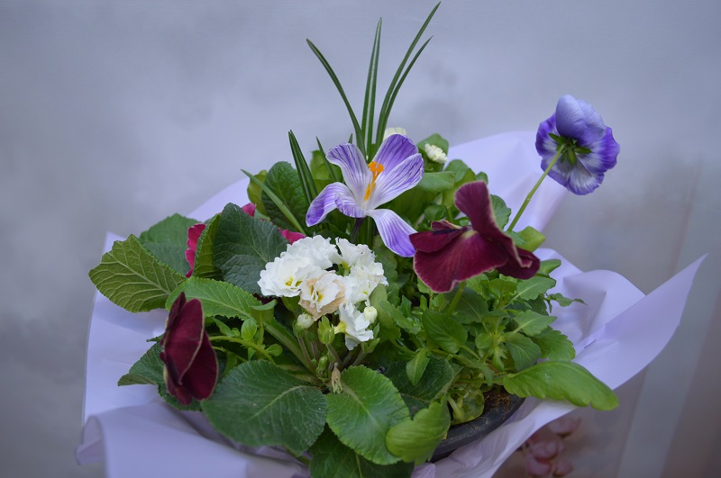 Руководство санатория поздравляет с Международным женским днем!